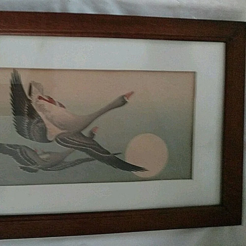 Japanese Ink Painting of Geese n Flight Antique Early 19TH Century Framed Signed - Picture 12 of 13